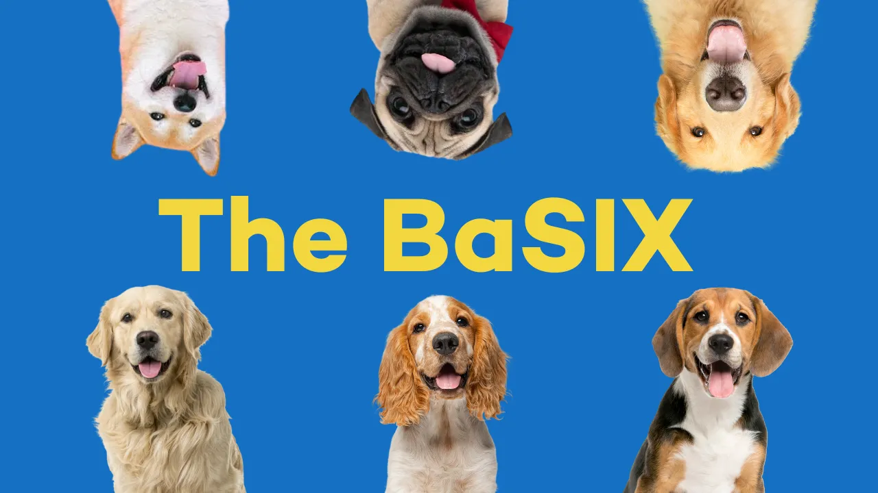 The BaSIX - Select Dog Breed
