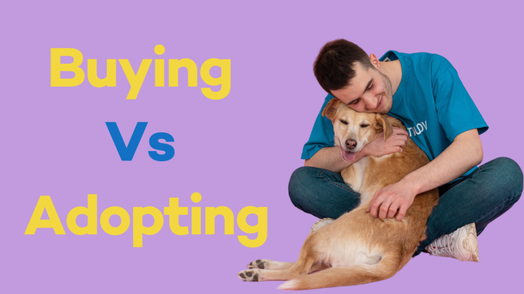 Adopting vs Buying a Pup in India!