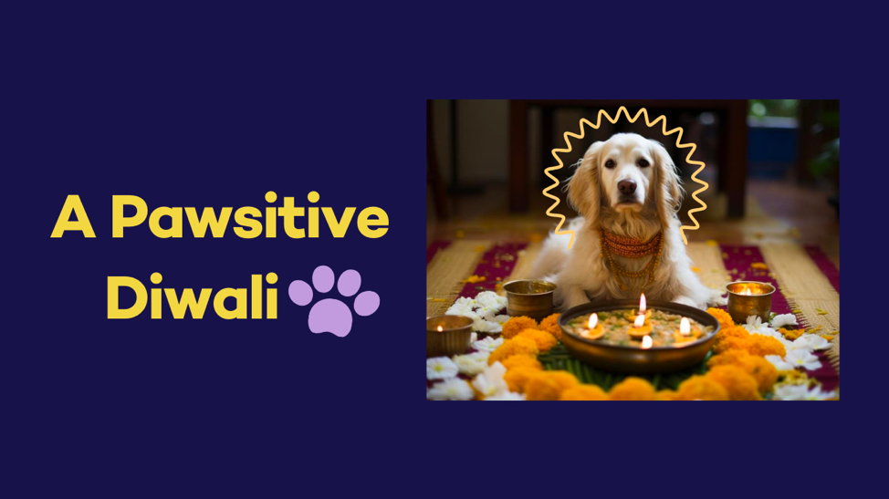 A Pawsitive Diwali!