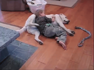 Dog body language showing affection while cuddling with child