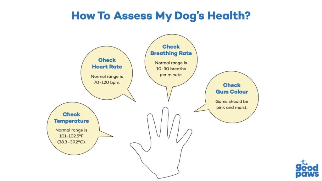 infographic for home health check for dogs vitals